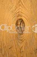 Wood texture