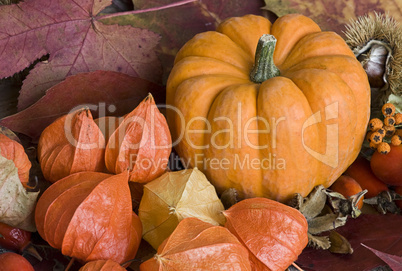 Herbst Stilleben