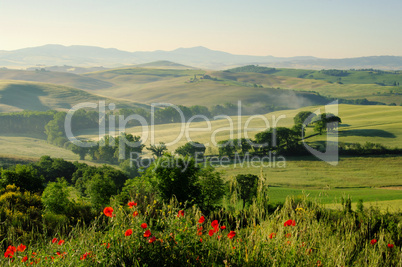 Toskana Huegel  - Tuscany hills 19