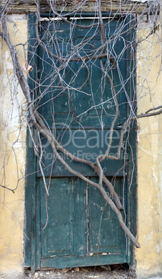 Antique door sealed by roots