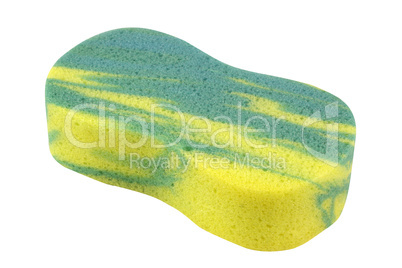 Colorful Sponge