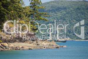 Whitsundays Vegetation with a Ship