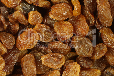 Dried Raisins