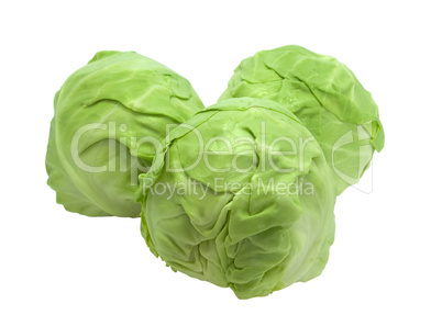 Cabbages