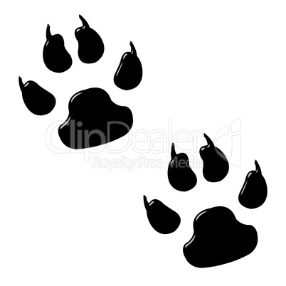 3D Dog Foot Prints