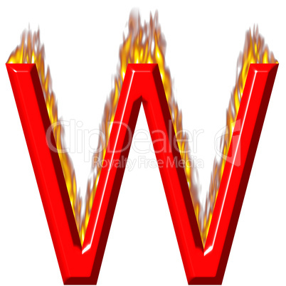 3D Letter W on Fire