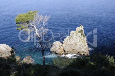 Felsen an der Küste von Mallorca