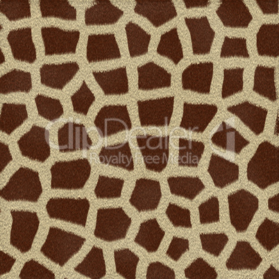 Giraffe Fur