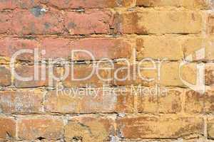 Painted brick wall