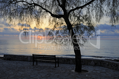 Baum bei Sonnenaufgang