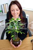Pretty businesswoman holding a plant