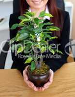 Close-up of a caucasian businesswoman holding a plant