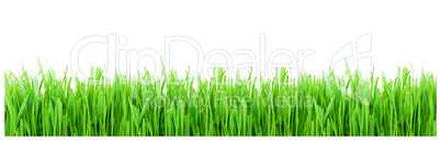 Green grass