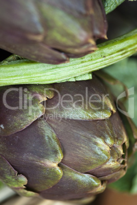 Colors of Artichokes