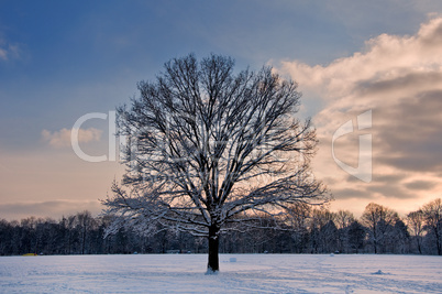 Winterimpressionen