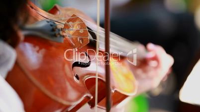 Violinist plays the violin