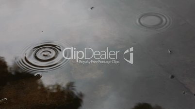 Raindrops on Puddle of Rain Water