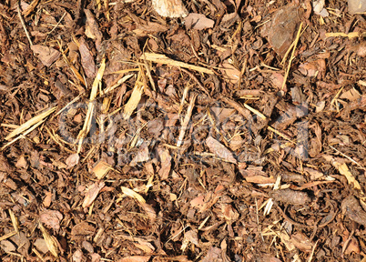 Rindenmulch