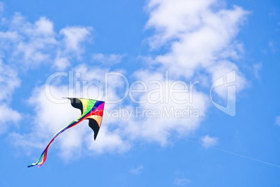 Kite in the sky