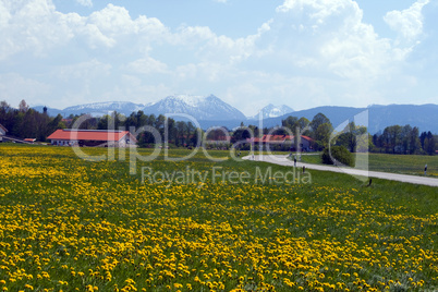 Unterwegs in die Berge