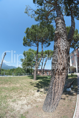 Park in Barga, Italy