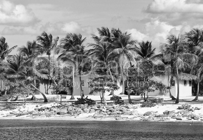 Small and Coloured Homes on the Coast of Santo Domingo