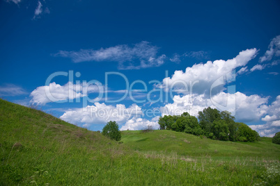 Hill and meadow