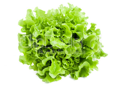 Lettuce