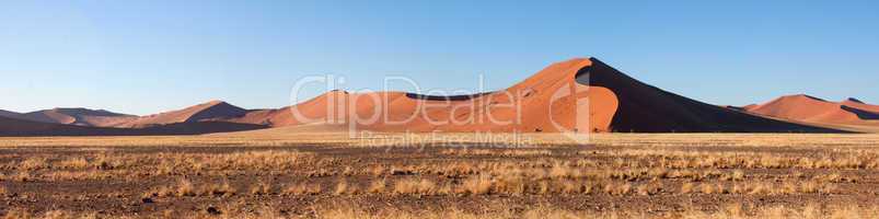 Die roten Dünen des Sossusvlei