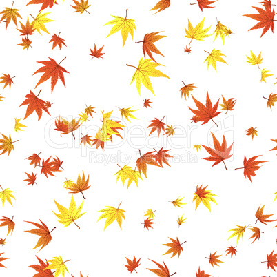 seamless maple leaves