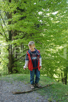 Draußen im Wald