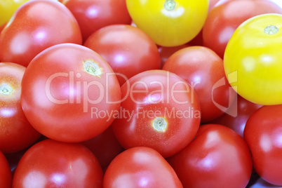 Red and yellow cocktail tomatoes isolated on white