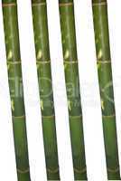 Grüne Bambusstäbe