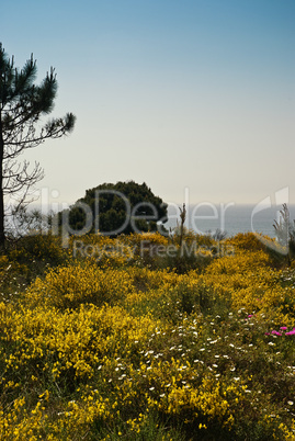 Portugal Landschaft