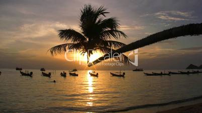 Tropical Sunset Palm Tree Ocean and Boats