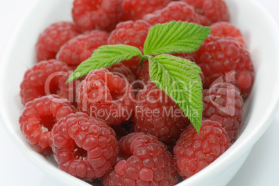 Himbeeren