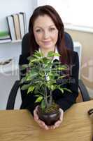 Pretty young businesswoman holding a plant sitting in her office