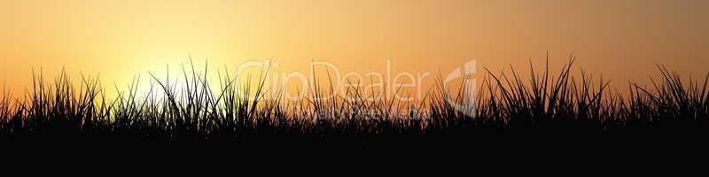 Gras Panorama bei Sonnenuntergang