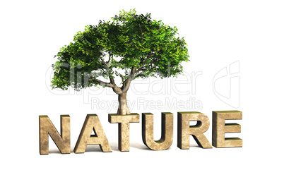 3d Schrift Nature Mit Baum Royalty Free Images Photos And Pictures