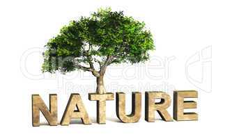 3D Schrift Nature mit Baum