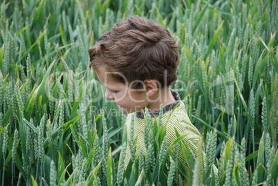 Kind im grünen Getreidefeld