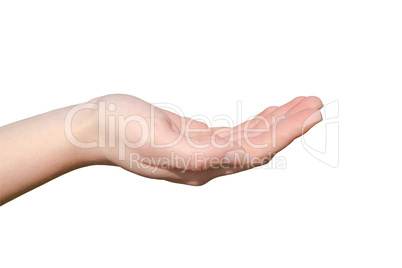 Hand Hand
