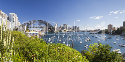 harbour bridge