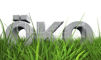 3D Öko im Gras Konzept