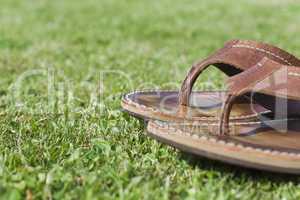 Holliday Concept - Flip Flop Relax