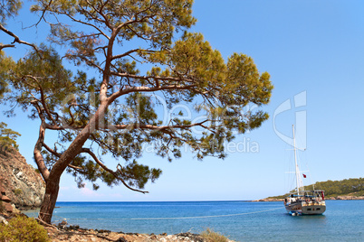 ship in blue bay