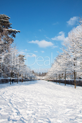 Winterlandschaft