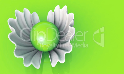Green Pearl + White Shell