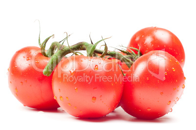 Tomatoes