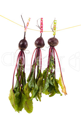 Hanging beet